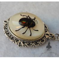 Beetle Taxidermy Necklace, Insect, Cabinet Of Curiosities, Oddities, Memento Mori, Witchcraft