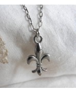 French Monarchy France Fleur de Lys Necklace silver, Flower charm, Dark mori, Dark Academia, Gothic, historical