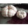2 Citrouilles Vichy rose, Décor d'automne, Décoration d'Hiver, Potiron, Cucurbitacée, Halloween, Cendrillon